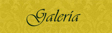 Galerias